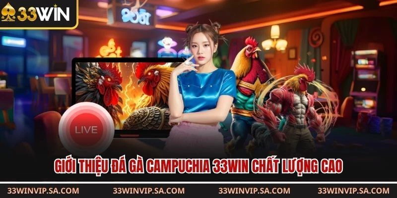 Giới thiệu đá gà Campuchia 33WIN chất lượng cao