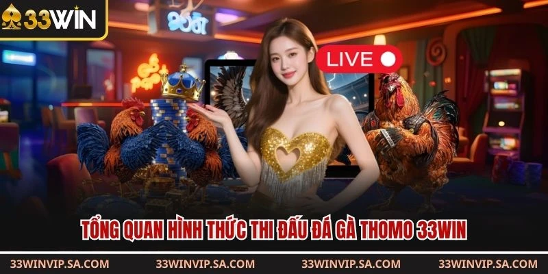 Tổng quan hình thức thi đấu đá gà thomo 33WIN
